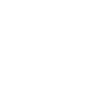 ease-icon